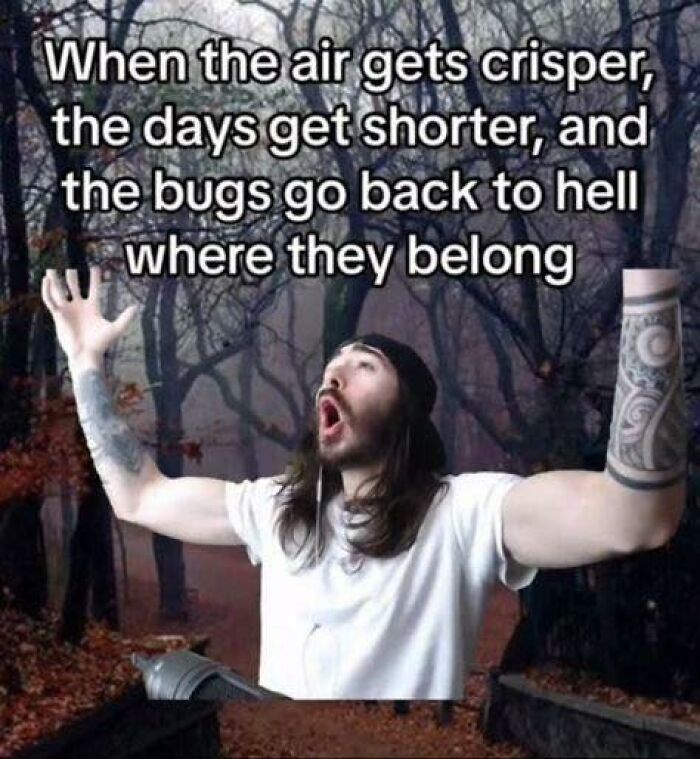 78 Hilarious Memes For Anyone Who Needs A Laugh Today