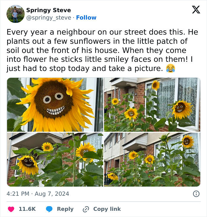 78 Hilarious Memes For Anyone Who Needs A Laugh Today