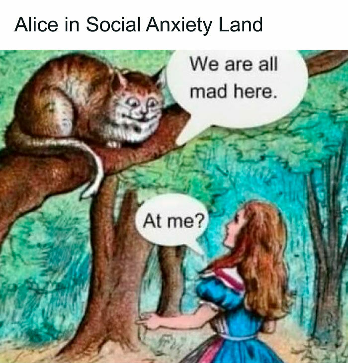 78 Hilarious Memes For Anyone Who Needs A Laugh Today