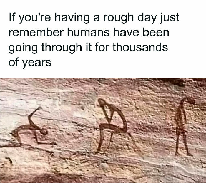 78 Hilarious Memes For Anyone Who Needs A Laugh Today