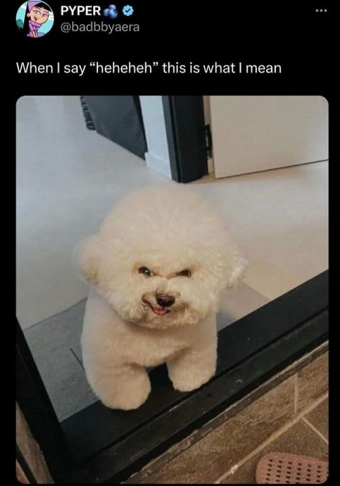 78 Hilarious Memes For Anyone Who Needs A Laugh Today