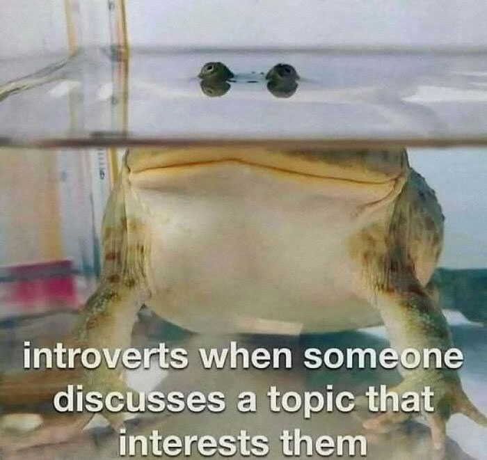 78 Hilarious Memes For Anyone Who Needs A Laugh Today