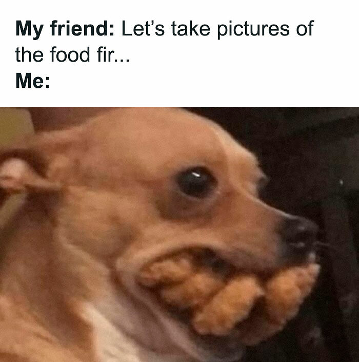 78 Hilarious Memes For Anyone Who Needs A Laugh Today
