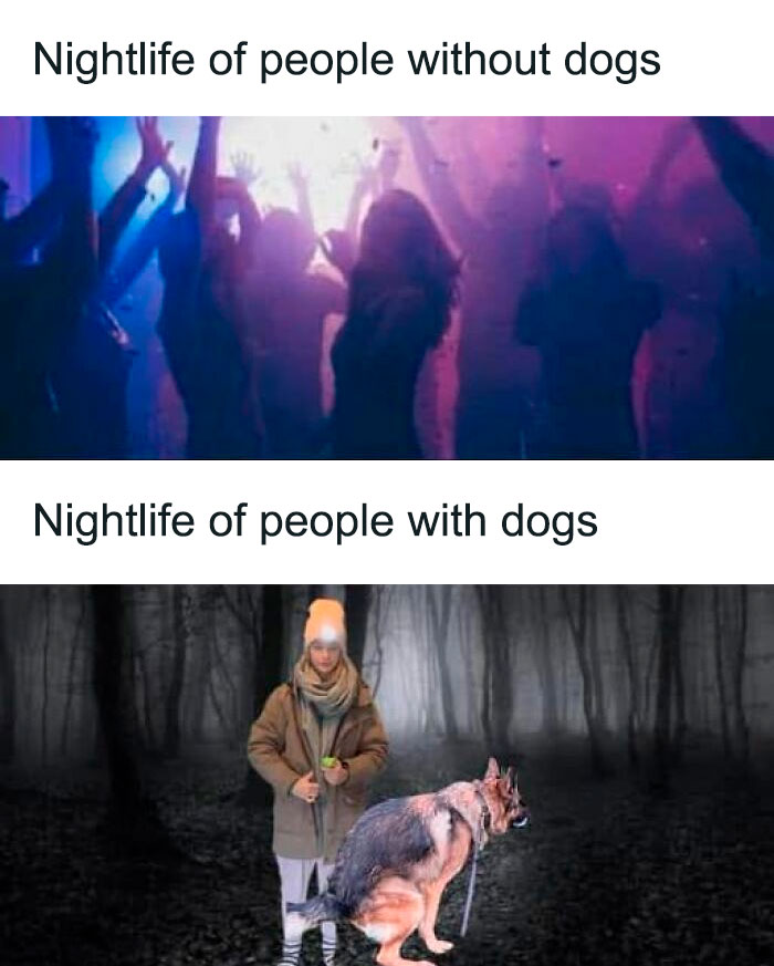 78 Hilarious Memes For Anyone Who Needs A Laugh Today