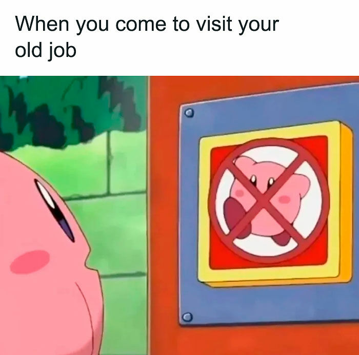 78 Hilarious Memes For Anyone Who Needs A Laugh Today