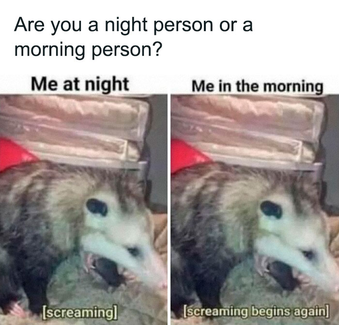 78 Hilarious Memes For Anyone Who Needs A Laugh Today