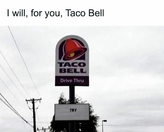 78 Hilarious Memes For Anyone Who Needs A Laugh Today