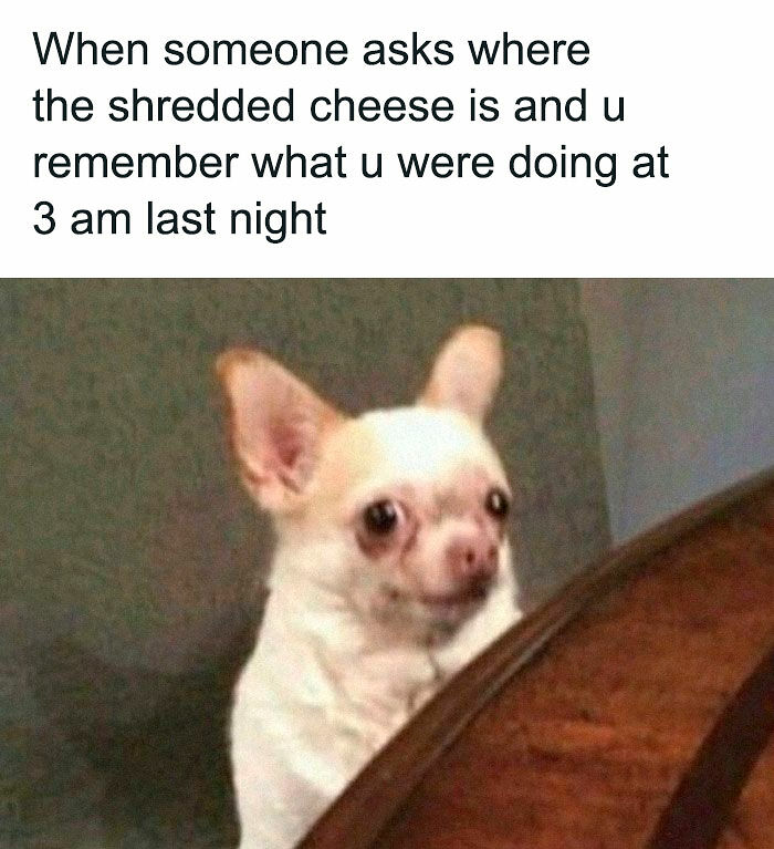 78 Hilarious Memes For Anyone Who Needs A Laugh Today