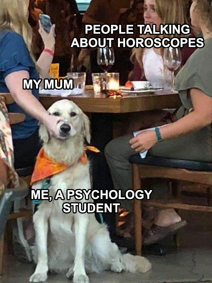 63 Psychology Memes That Are Funny, Clever, And A Little Too Accurate
