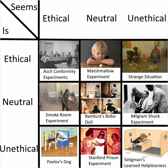 63 Psychology Memes That Are Funny, Clever, And A Little Too Accurate