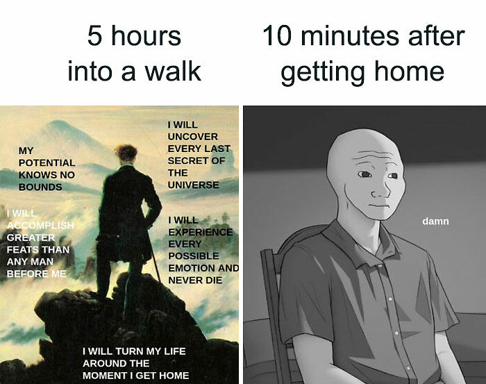 63 Psychology Memes That Are Funny, Clever, And A Little Too Accurate