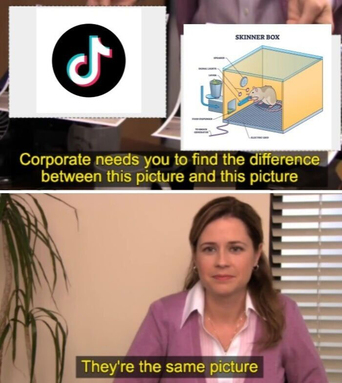63 Psychology Memes That Are Funny, Clever, And A Little Too Accurate
