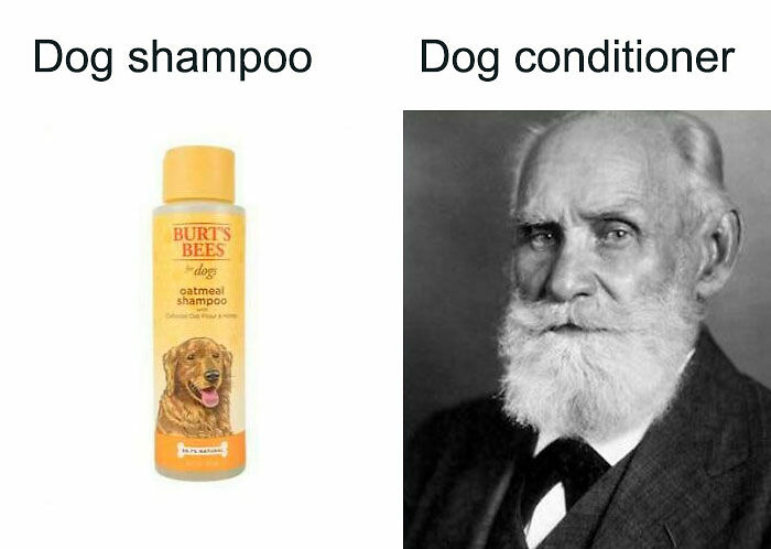 63 Psychology Memes That Are Funny, Clever, And A Little Too Accurate