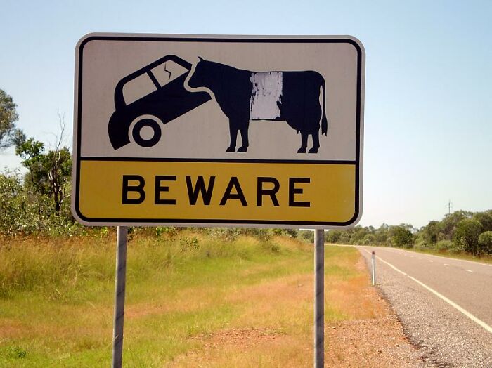 &#8220;Ignore GPS&#8221;: 69 Road Signs So Confusing People Didn&#8217;t Know What They Were Supposed To Do
