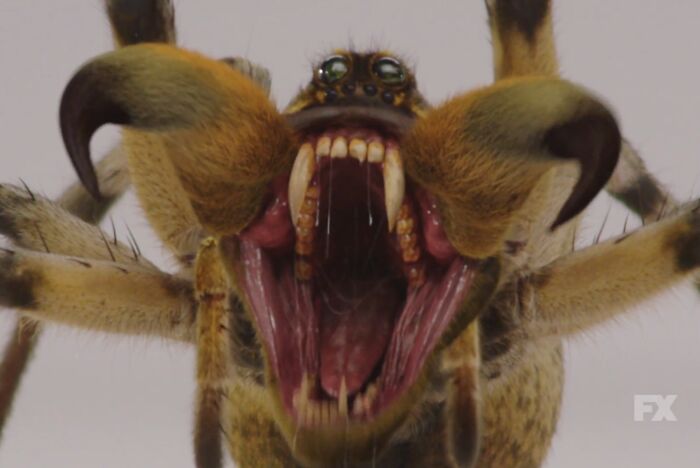67 Creepy Commercials That Might Give You Nightmares