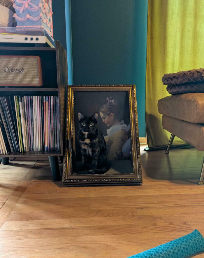 90 Times Cats Seamlessly Merged Into The Background