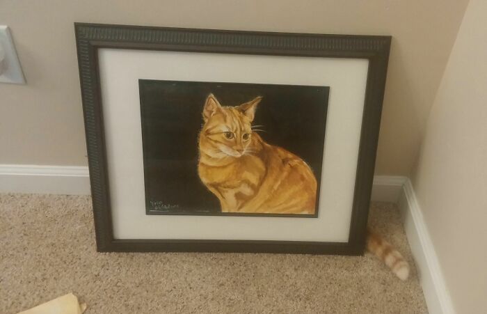 90 Times Cats Seamlessly Merged Into The Background