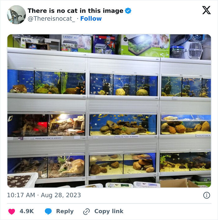90 Times Cats Seamlessly Merged Into The Background
