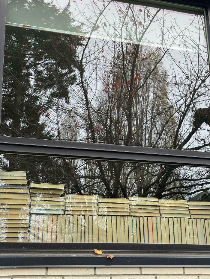 90 Times Cats Seamlessly Merged Into The Background