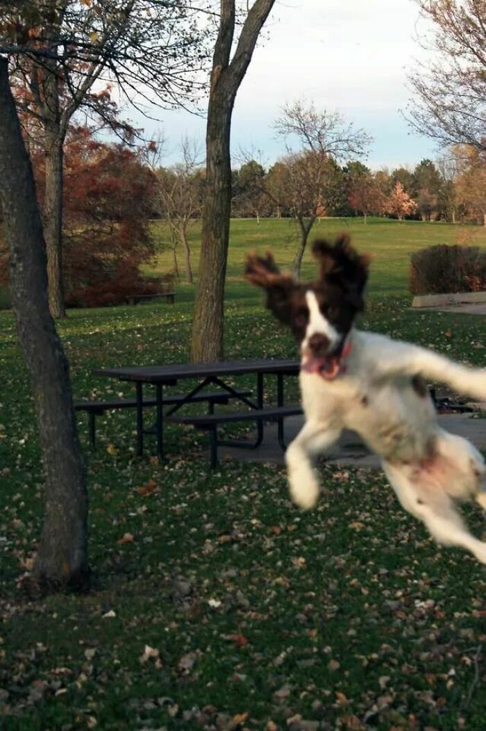 43 Photobombs That Were Either Total Disasters Or Absolute Perfection