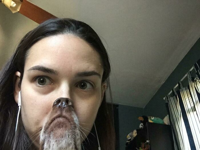 43 Photobombs That Were Either Total Disasters Or Absolute Perfection
