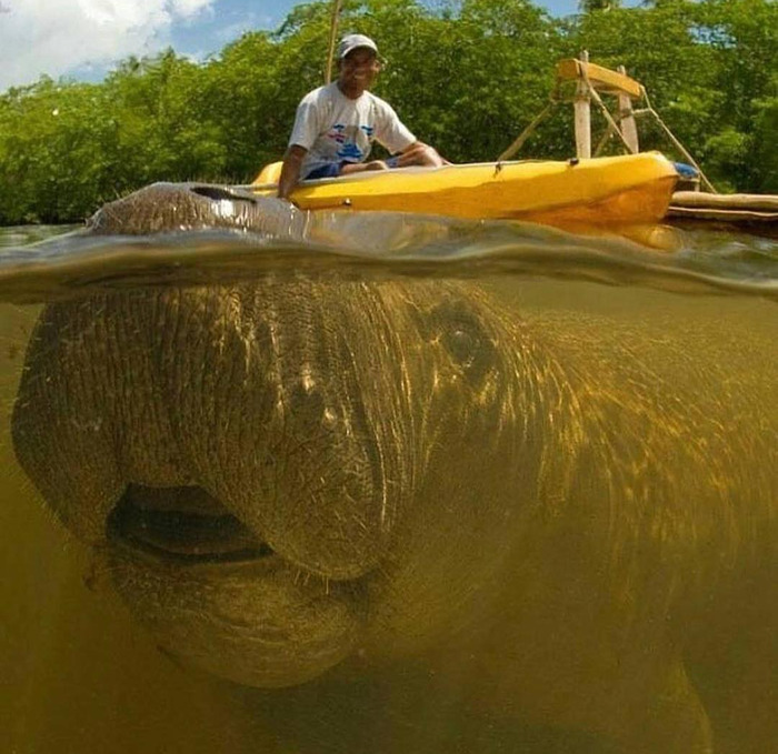43 Photobombs That Were Either Total Disasters Or Absolute Perfection