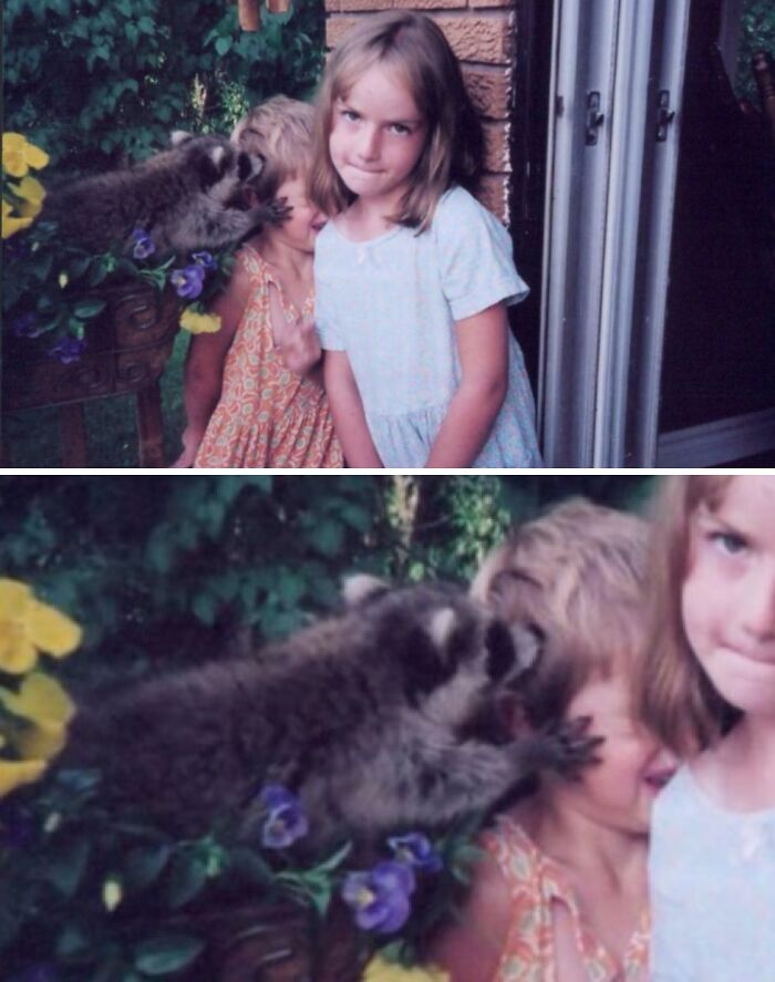 43 Photobombs That Were Either Total Disasters Or Absolute Perfection