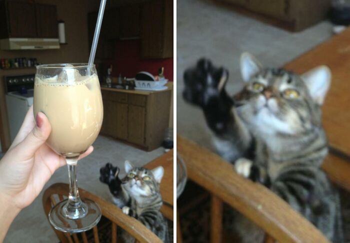 43 Photobombs That Were Either Total Disasters Or Absolute Perfection