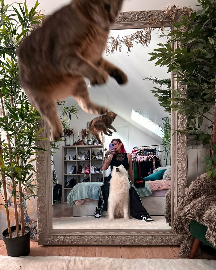 43 Photobombs That Were Either Total Disasters Or Absolute Perfection