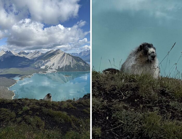 43 Photobombs That Were Either Total Disasters Or Absolute Perfection