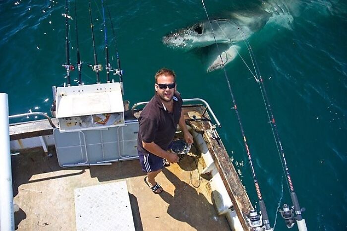 43 Photobombs That Were Either Total Disasters Or Absolute Perfection