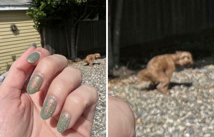43 Photobombs That Were Either Total Disasters Or Absolute Perfection