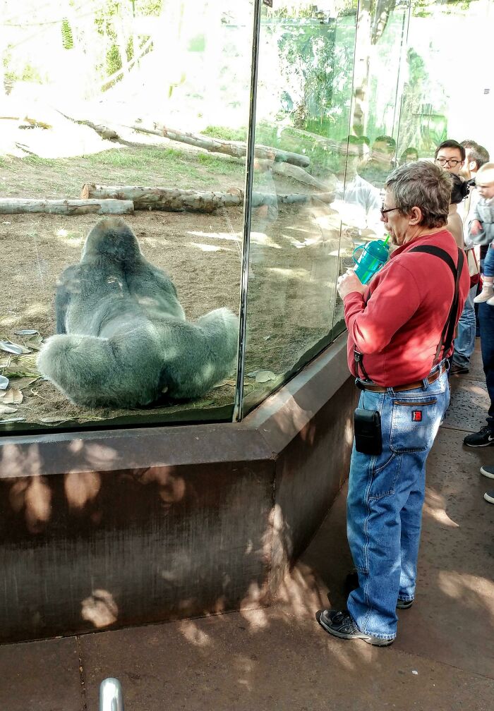 43 Photobombs That Were Either Total Disasters Or Absolute Perfection
