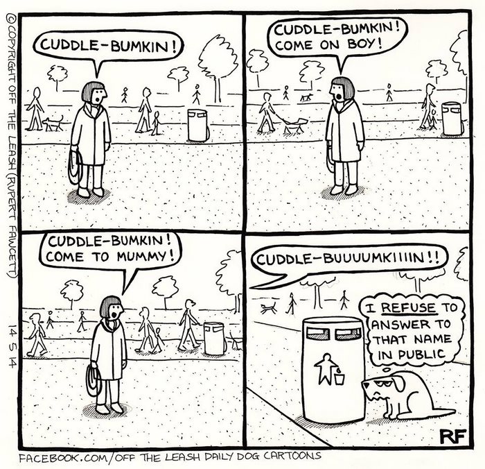 32 Comics That Show The Chaos And Joy Of Owning A Dog