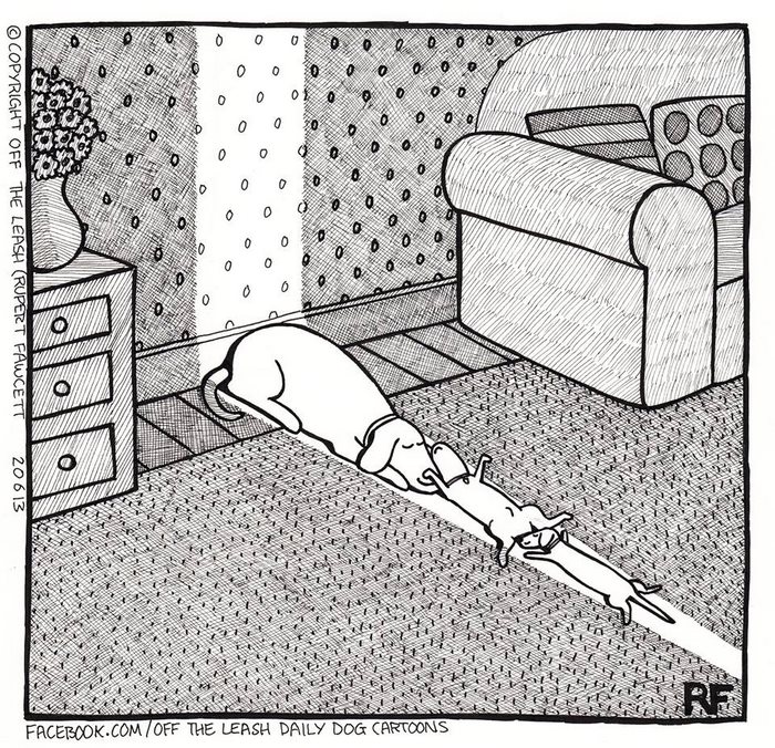 32 Comics That Show The Chaos And Joy Of Owning A Dog