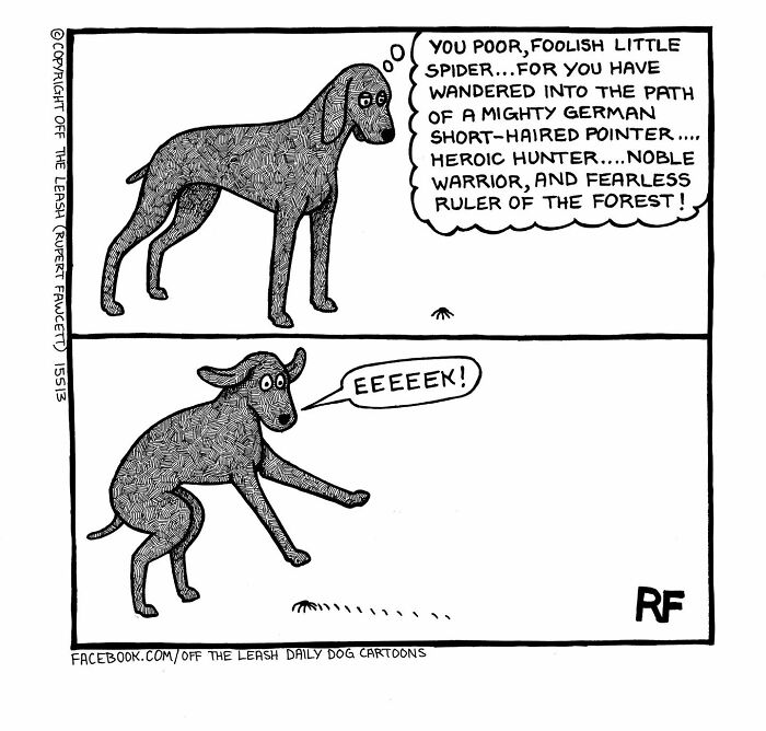 32 Comics That Show The Chaos And Joy Of Owning A Dog