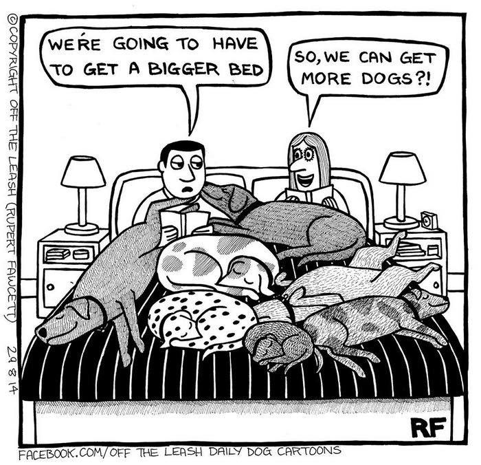32 Comics That Show The Chaos And Joy Of Owning A Dog