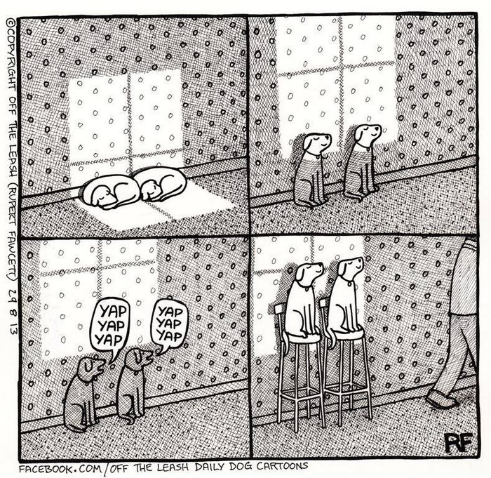 32 Comics That Show The Chaos And Joy Of Owning A Dog