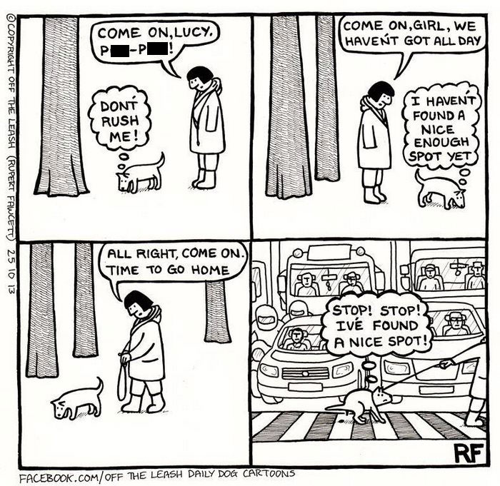 32 Comics That Show The Chaos And Joy Of Owning A Dog