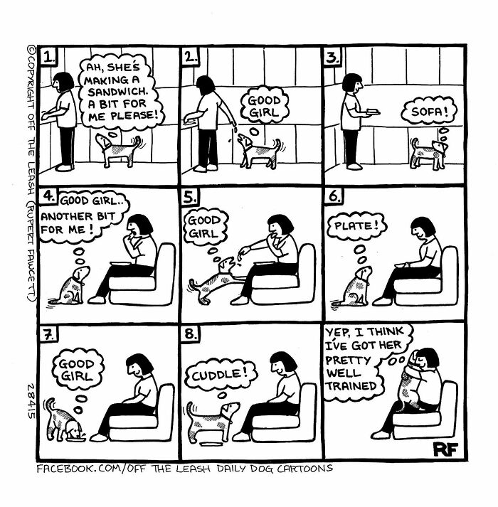 32 Comics That Show The Chaos And Joy Of Owning A Dog