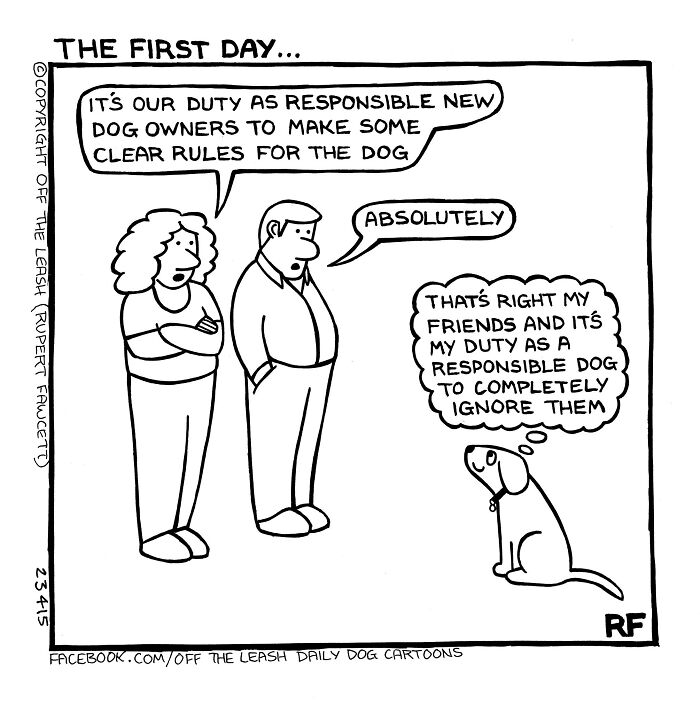 32 Comics That Show The Chaos And Joy Of Owning A Dog