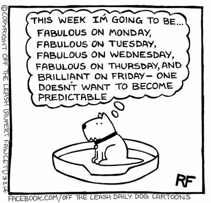 32 Comics That Show The Chaos And Joy Of Owning A Dog