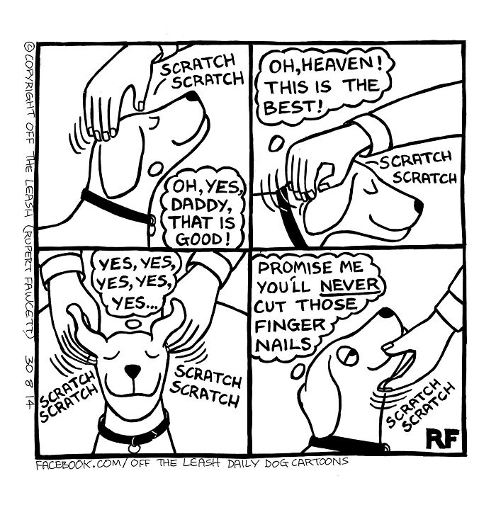 32 Comics That Show The Chaos And Joy Of Owning A Dog