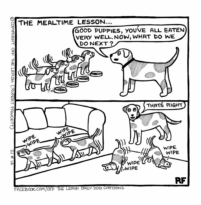 32 Comics That Show The Chaos And Joy Of Owning A Dog