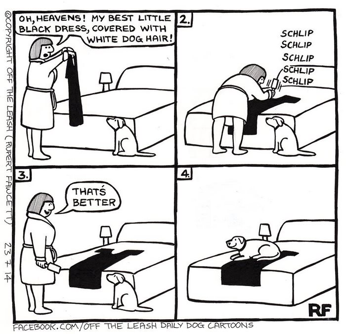 32 Comics That Show The Chaos And Joy Of Owning A Dog