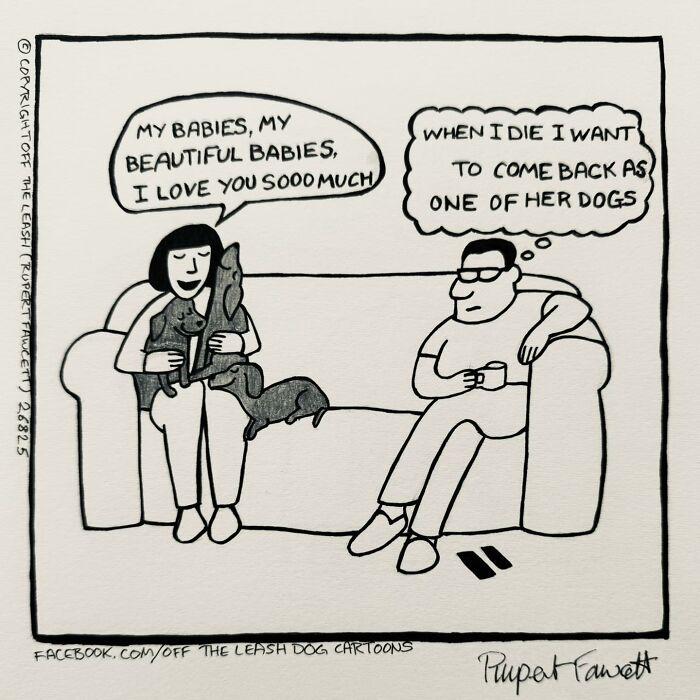 32 Comics That Show The Chaos And Joy Of Owning A Dog