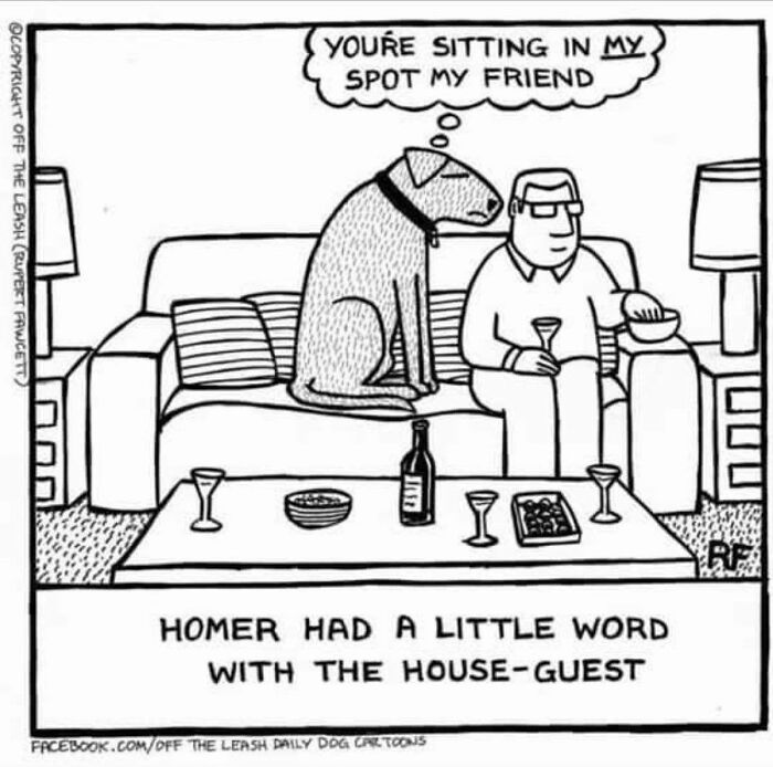 32 Comics That Show The Chaos And Joy Of Owning A Dog