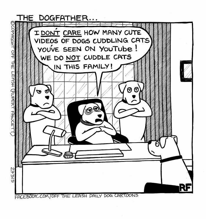 32 Comics That Show The Chaos And Joy Of Owning A Dog