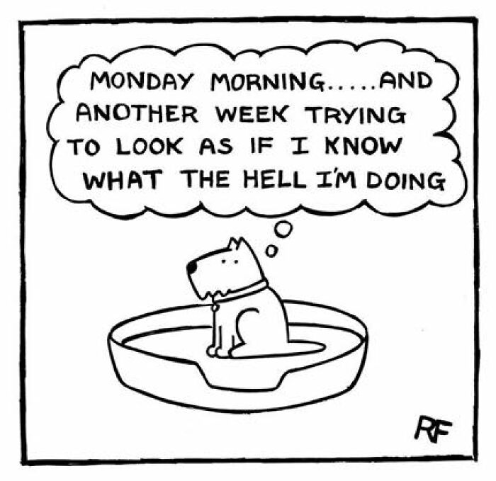 32 Comics That Show The Chaos And Joy Of Owning A Dog