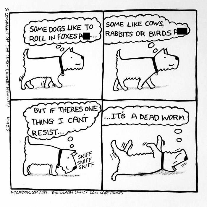 32 Comics That Show The Chaos And Joy Of Owning A Dog